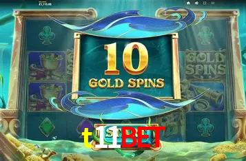 A Experiência Imersiva dos Cassinos Ao Vivo no t11bet